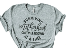 Load image into Gallery viewer, Surviving Motherhood