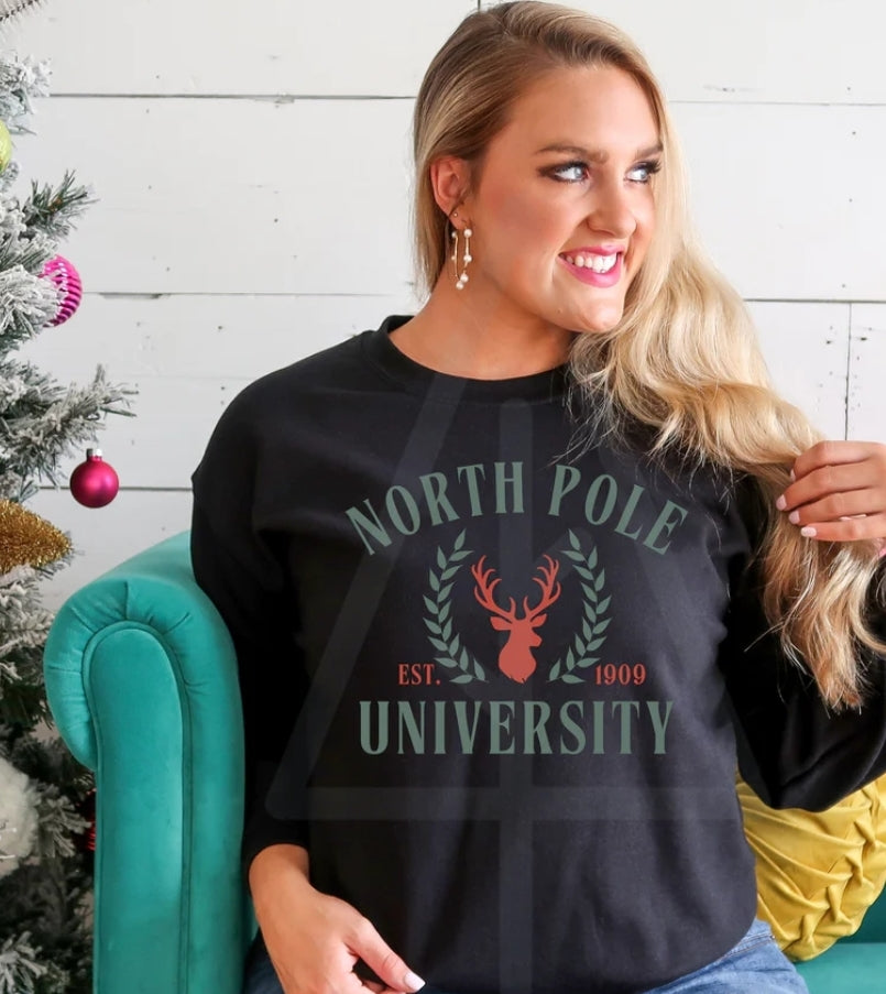 North Pole University
