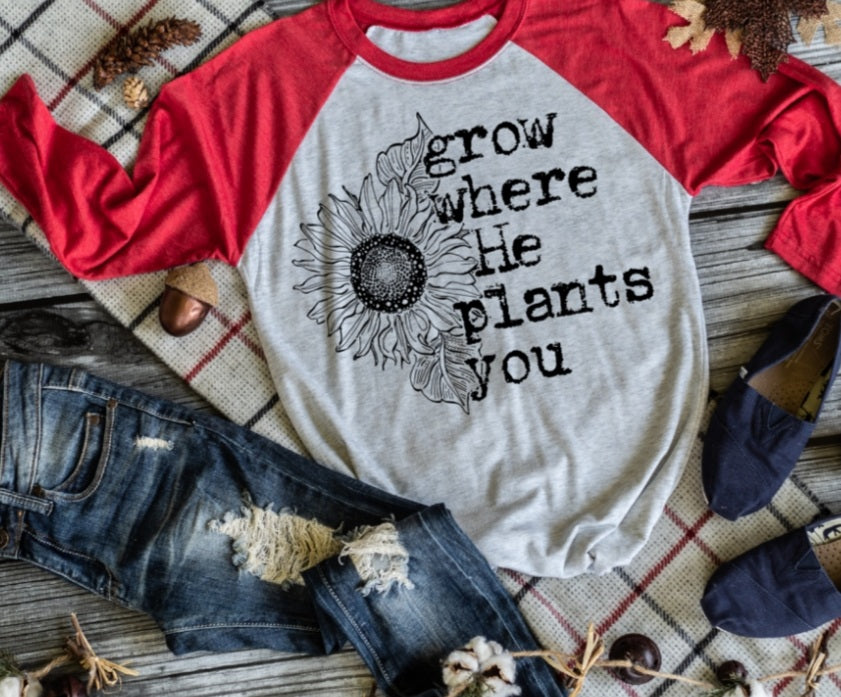 Grow Where He Plants You