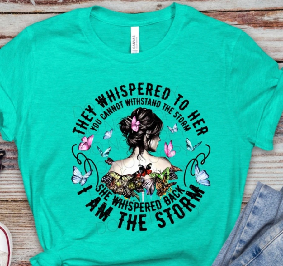 I am the Storm