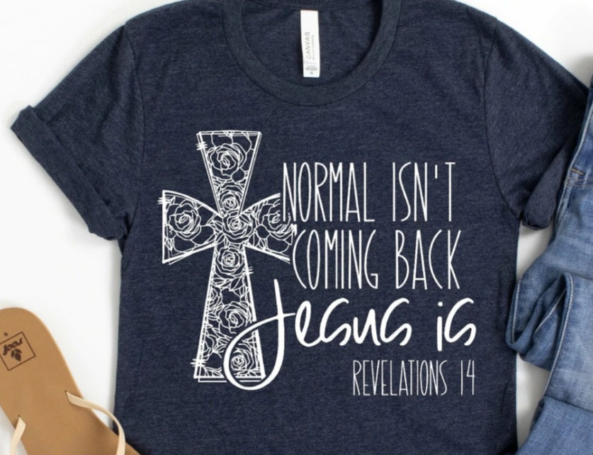 Normal Isn't Coming Back